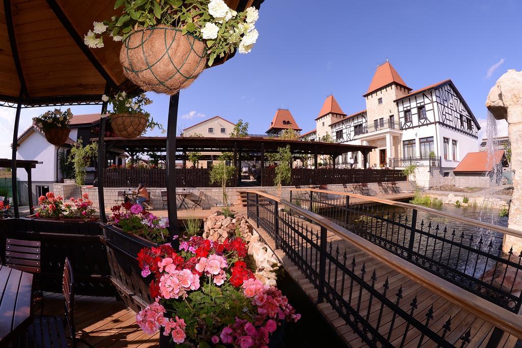 Hotel Castel Royal Mosnita Noua المظهر الخارجي الصورة