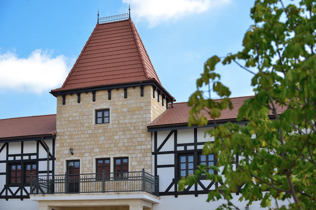 Hotel Castel Royal Mosnita Noua المظهر الخارجي الصورة