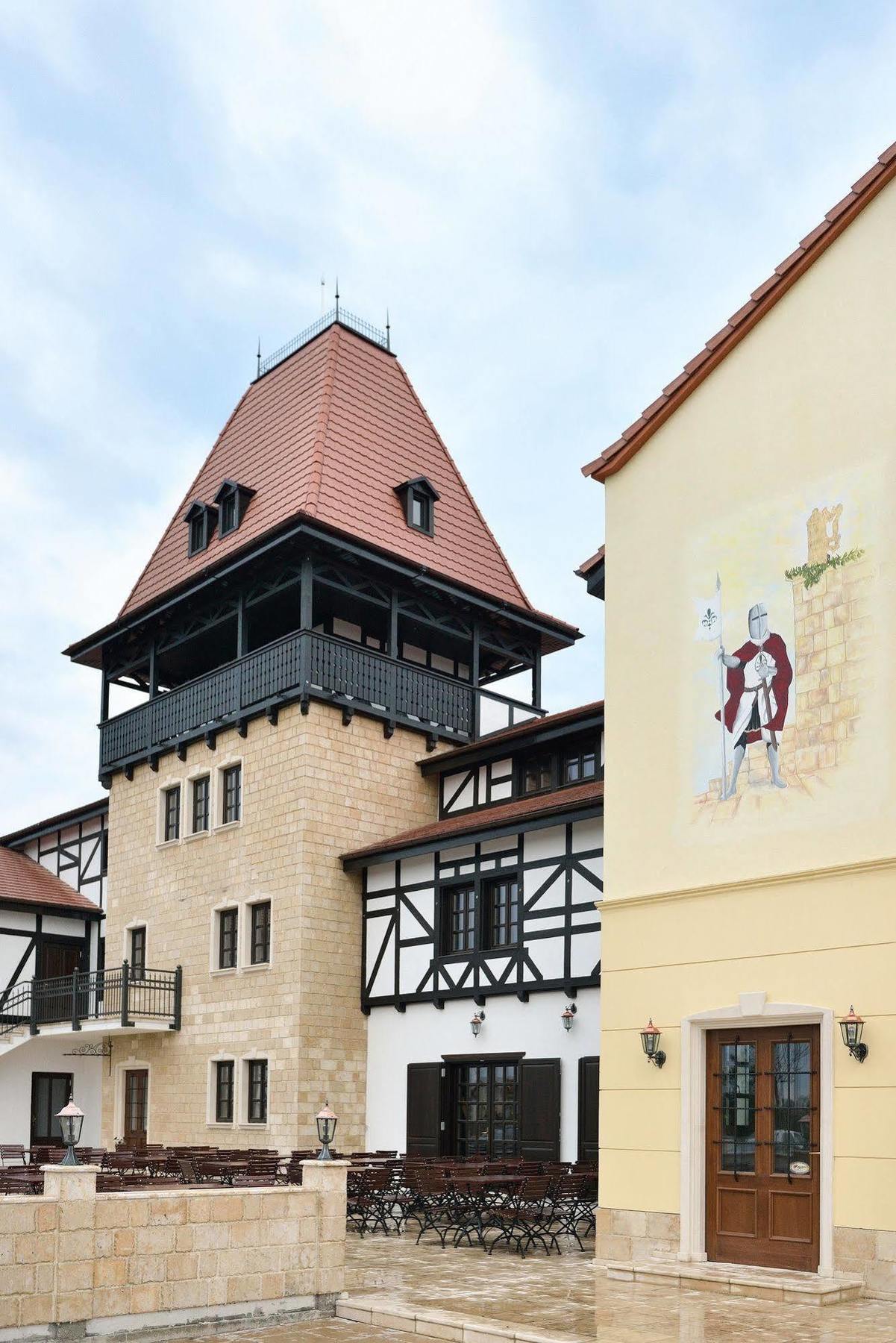 Hotel Castel Royal Mosnita Noua المظهر الخارجي الصورة